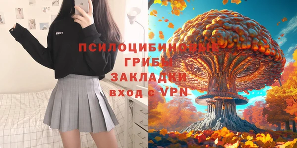 a pvp Арсеньев